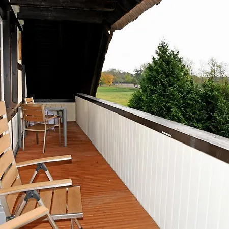 Reetdachfachwerkvilla Am Wiesengrund Appartamento Bergen Auf Rugen