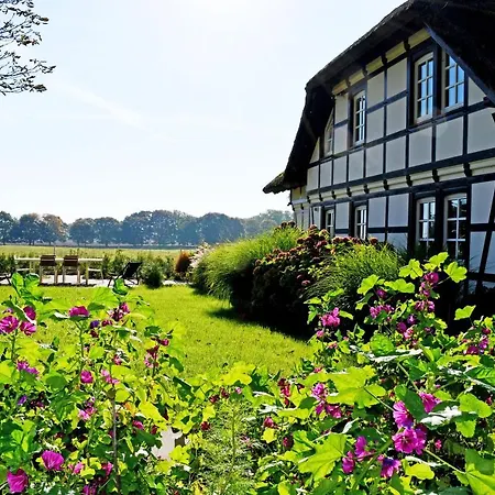 Reetdachfachwerkvilla Am Wiesengrund Bergen Auf Rugen